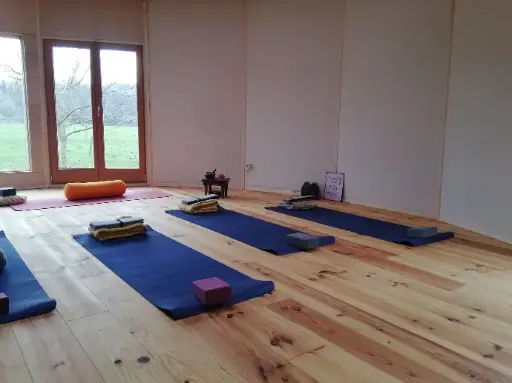 1 Séance de Yoga